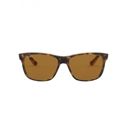 Ray-Ban RB4181