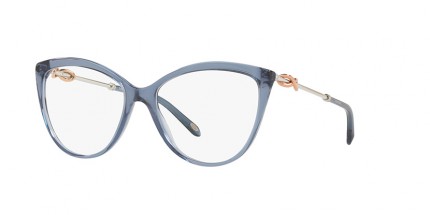 Tiffany & Co.TF2161-B