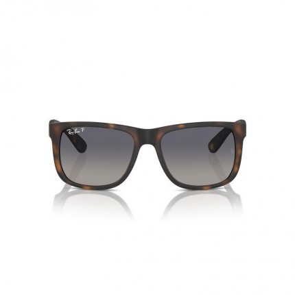 Ray-Ban  RB4165